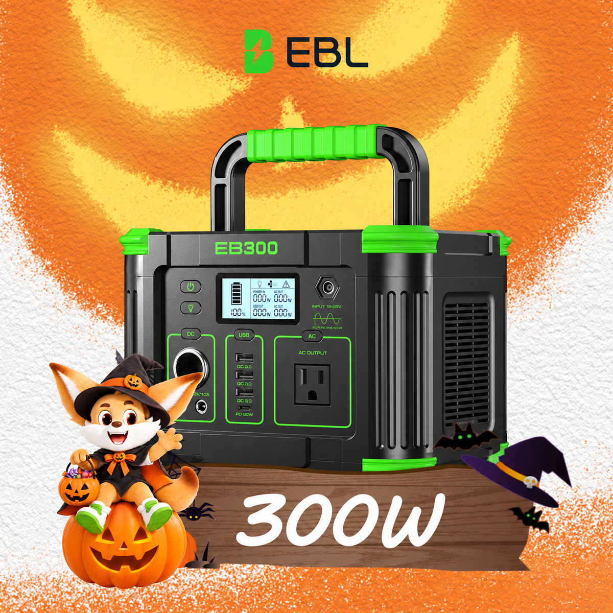 300W Portable Power Station 288Wh Lithium Battery Backup for Camping and Home Use
