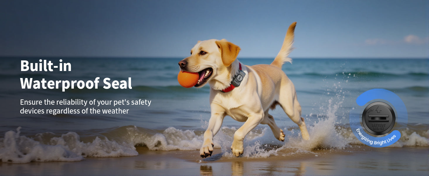 EBL RFA-67 6 Volt Pet Collar Replacement Batteries