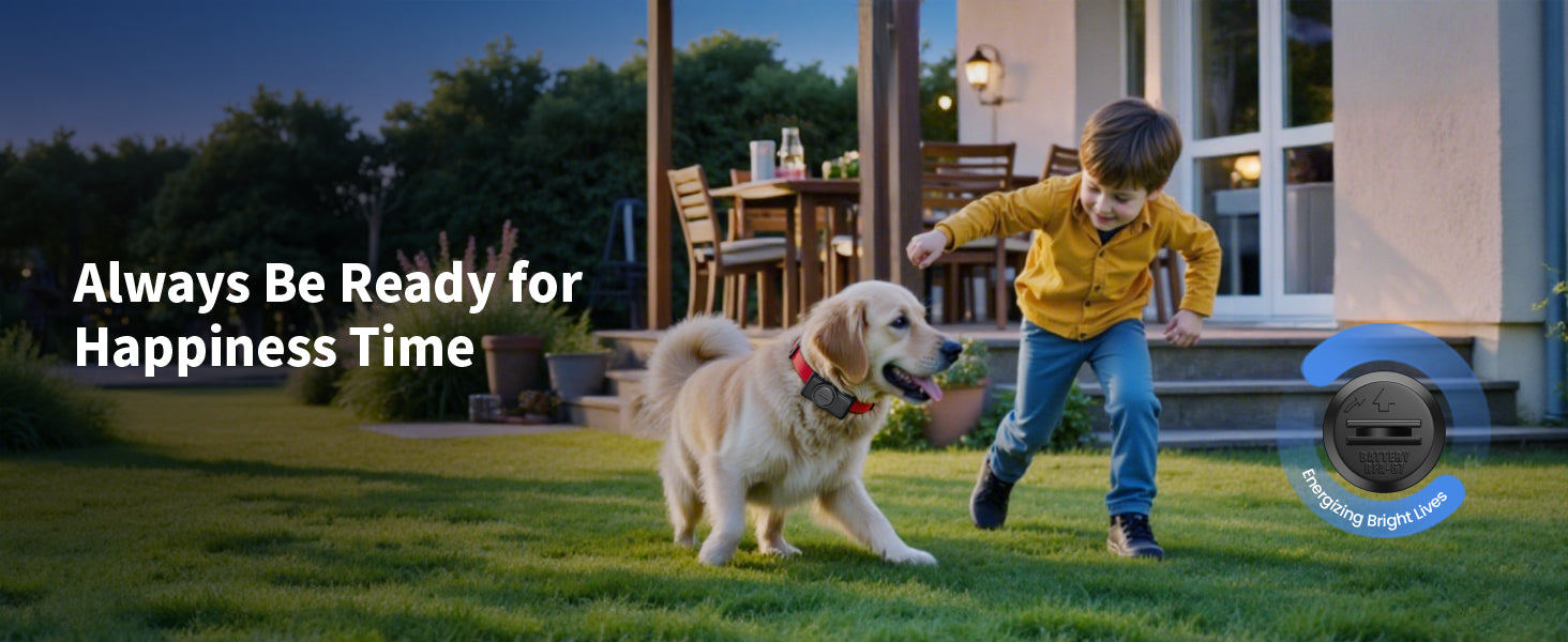 EBL RFA-67 6 Volt Pet Collar Replacement Batteries