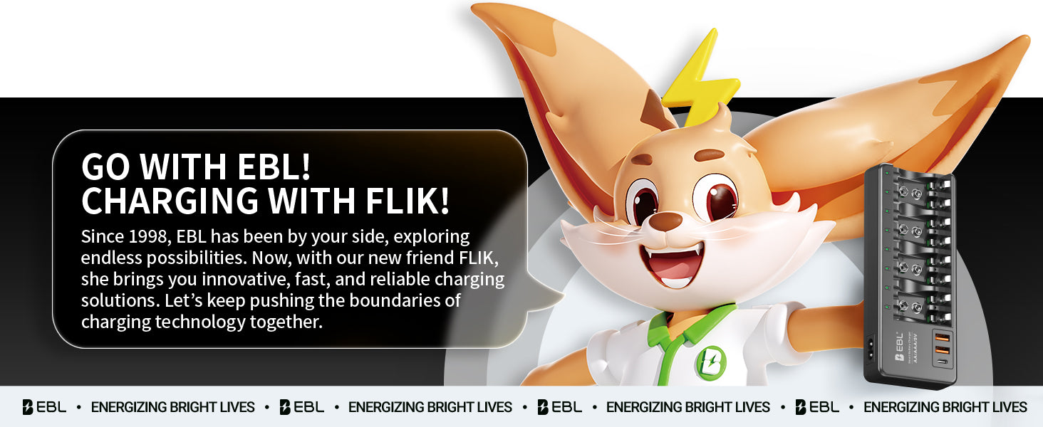 EBL AA AAA 9V Individual Battery Charger