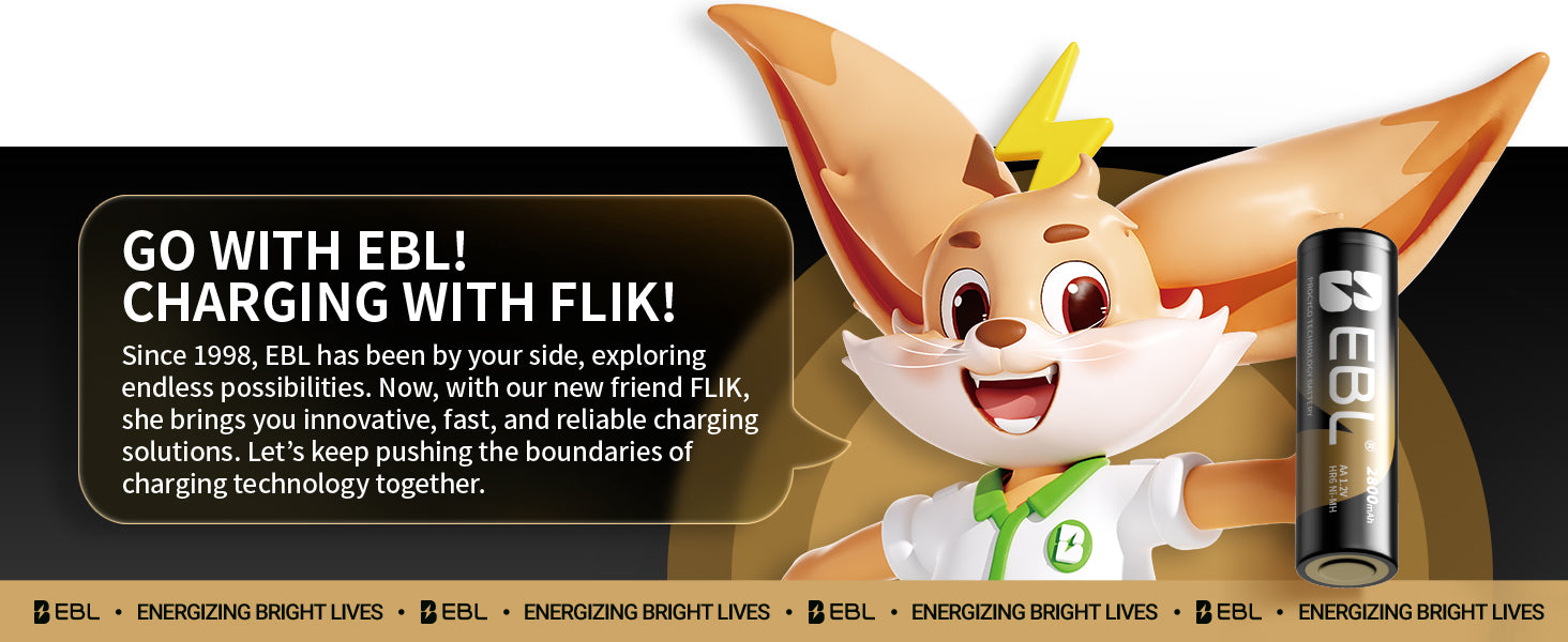 EBL Gold Pro Rechargeable AA Batteries 2800mAh