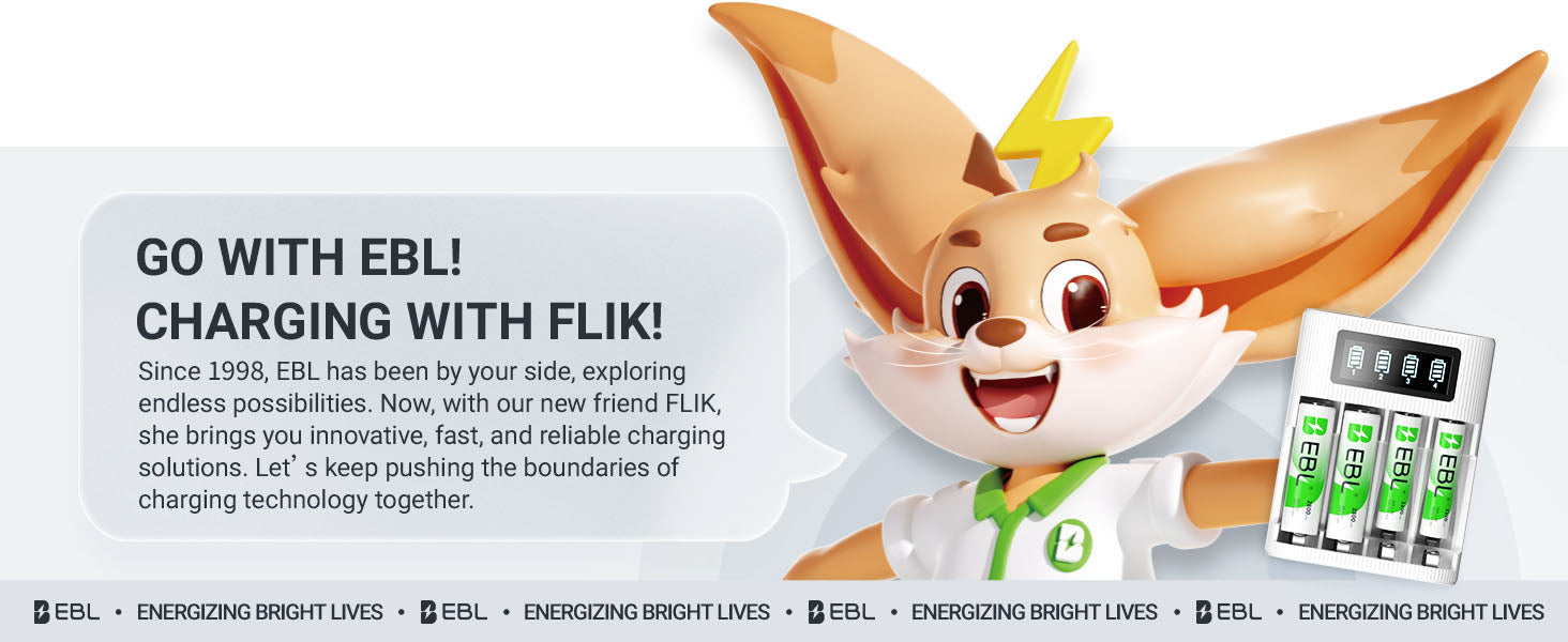 EBL AA AAA Rechargeable Batteries with FY-409 4-Bay Individual LCD Charger