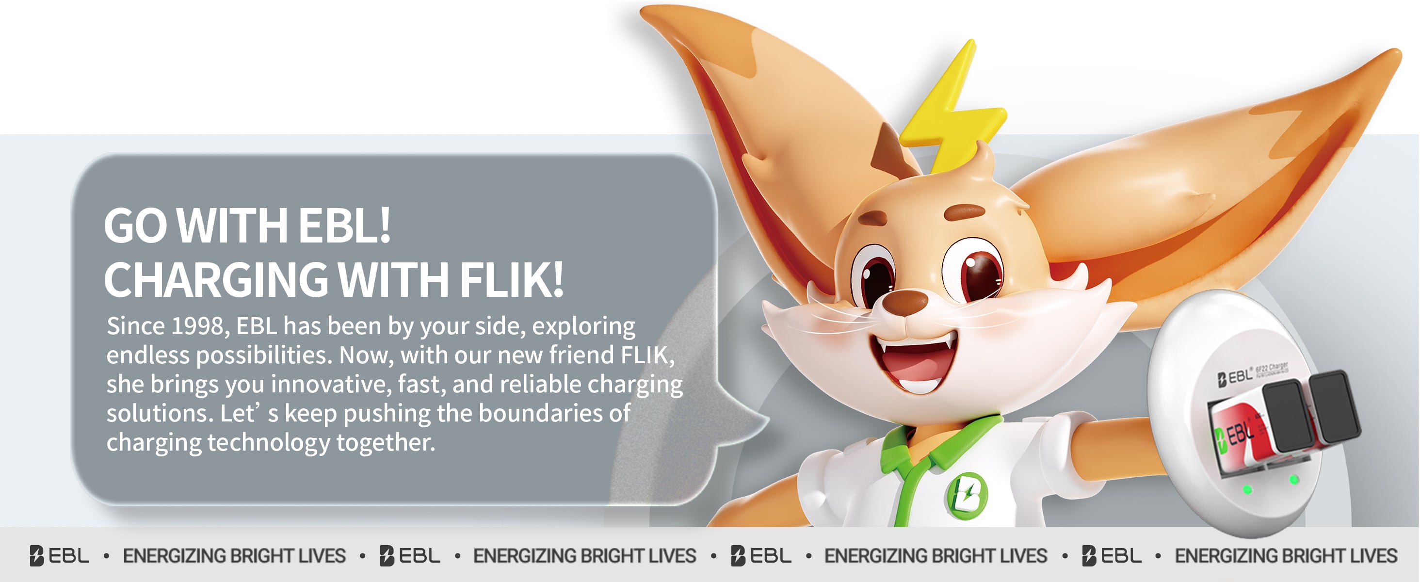 EBL 9V Li-ion Rechargeable Batteries with 6F22 9V Battery Charger