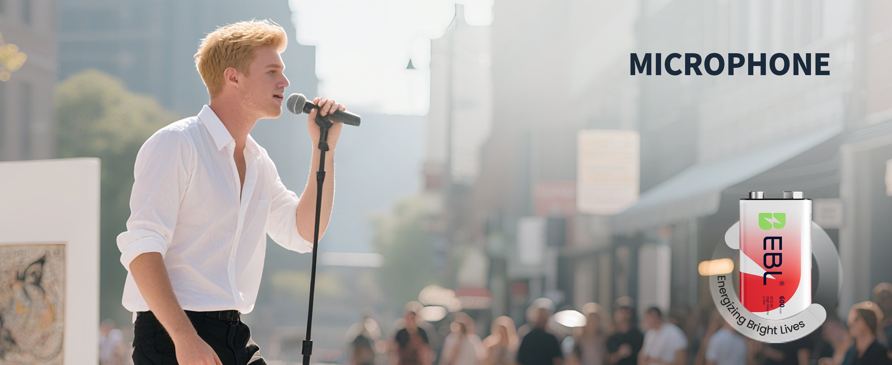 EBL 9V Li-ion Rechargeable Batteries with 6F22 9V Battery Charger