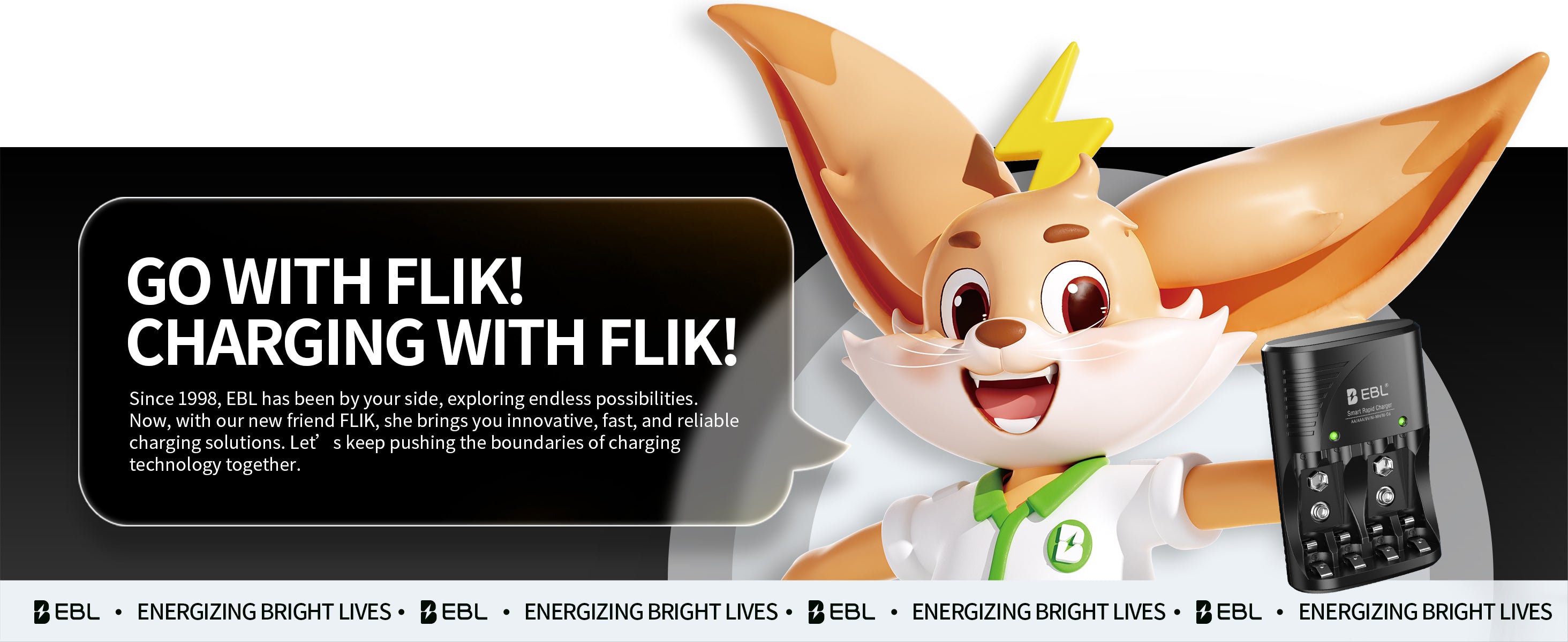 EBL 802 Smart Charger With AA AAA Rechargeable Batteries Kit