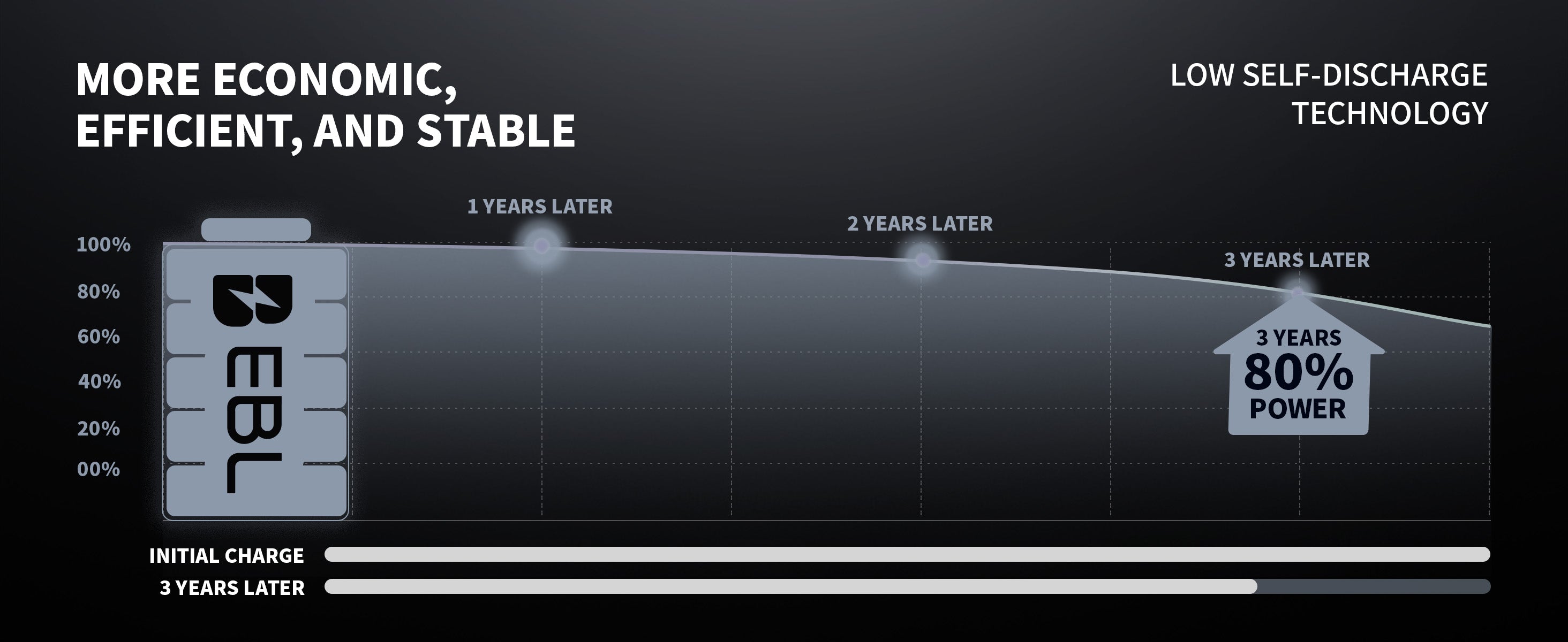 EBL 802 Smart Charger With AA AAA Rechargeable Batteries Kit