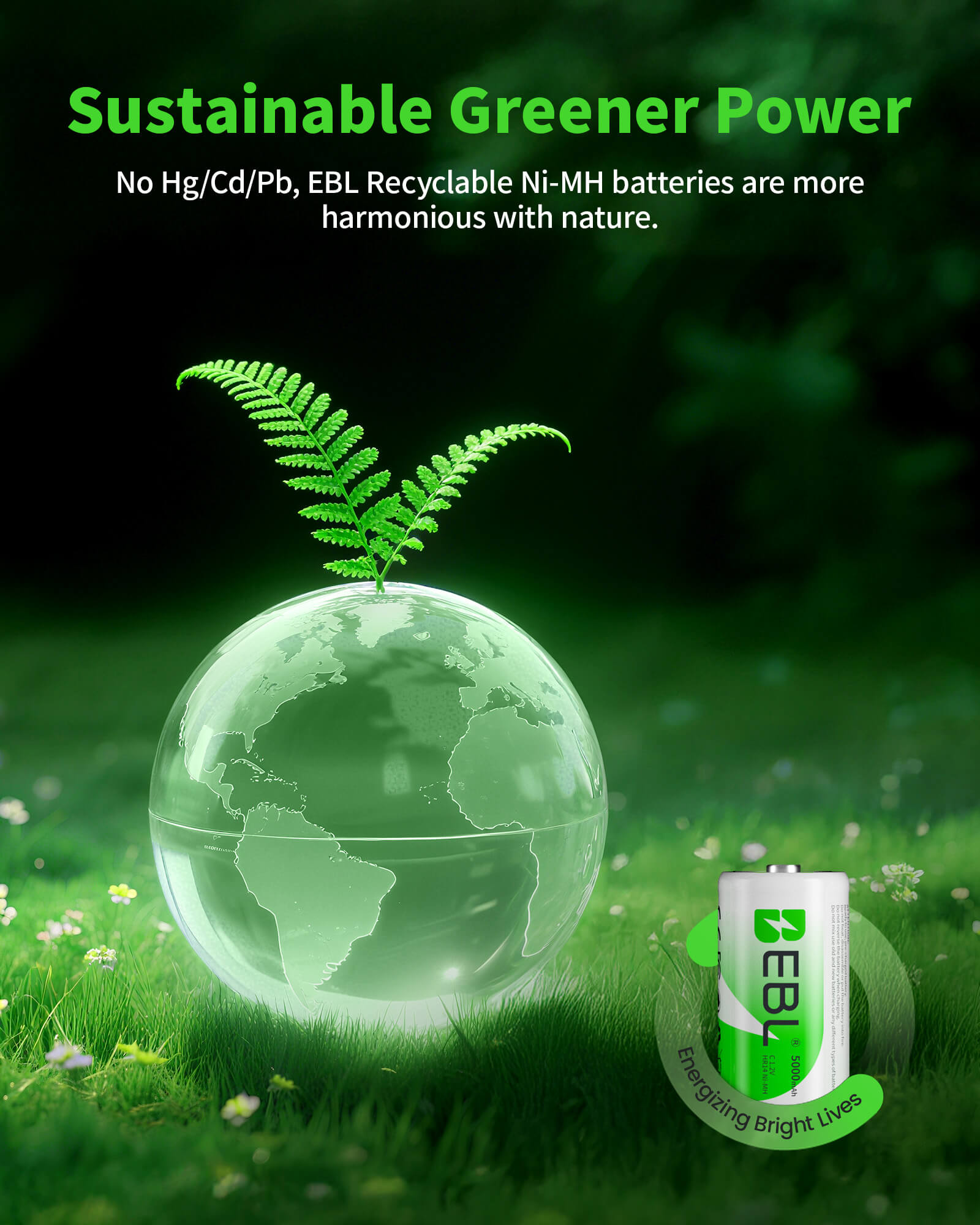 EBL C9008 LCD Battery Charger with C D Rechargeable Batteries