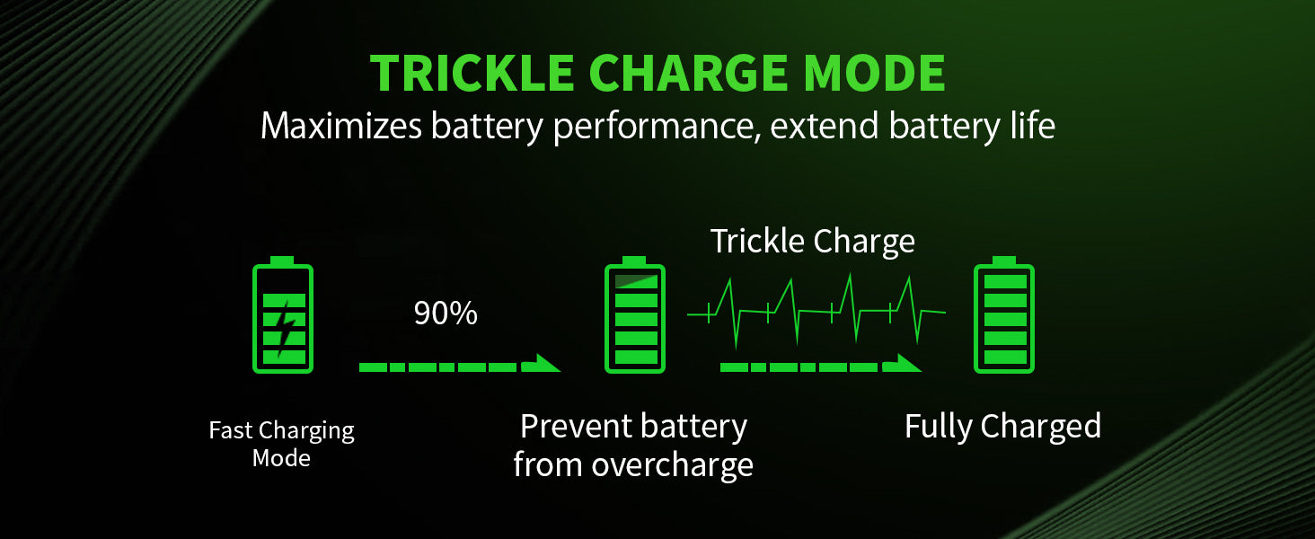 EBL C9008 LCD Battery Charger with C D Rechargeable Batteries