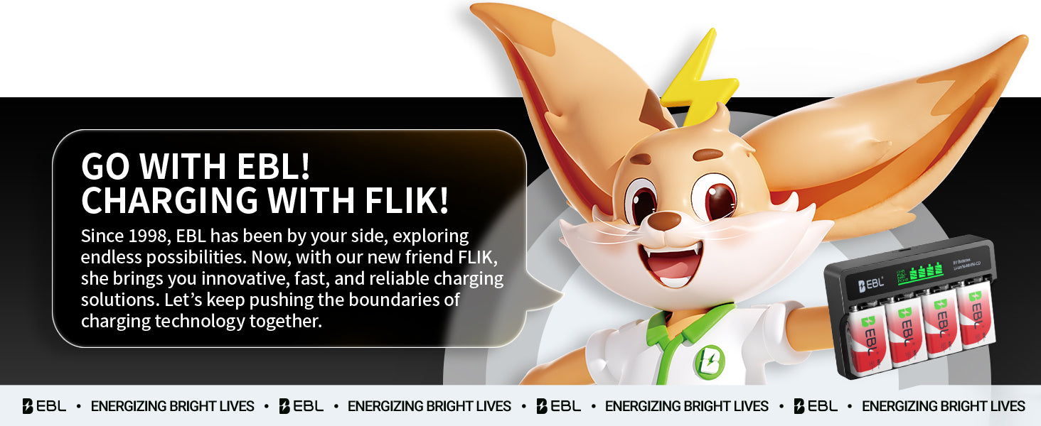 EBL 4 Packs 9V Ni-Mh/Li-Ion Batteries with M7015 Battery Charger