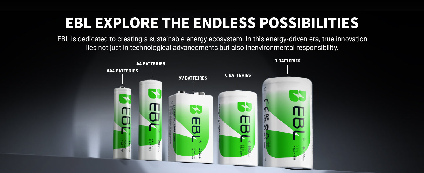 EBL AA Ni-MH Rechargeable Batteries 2800mAh