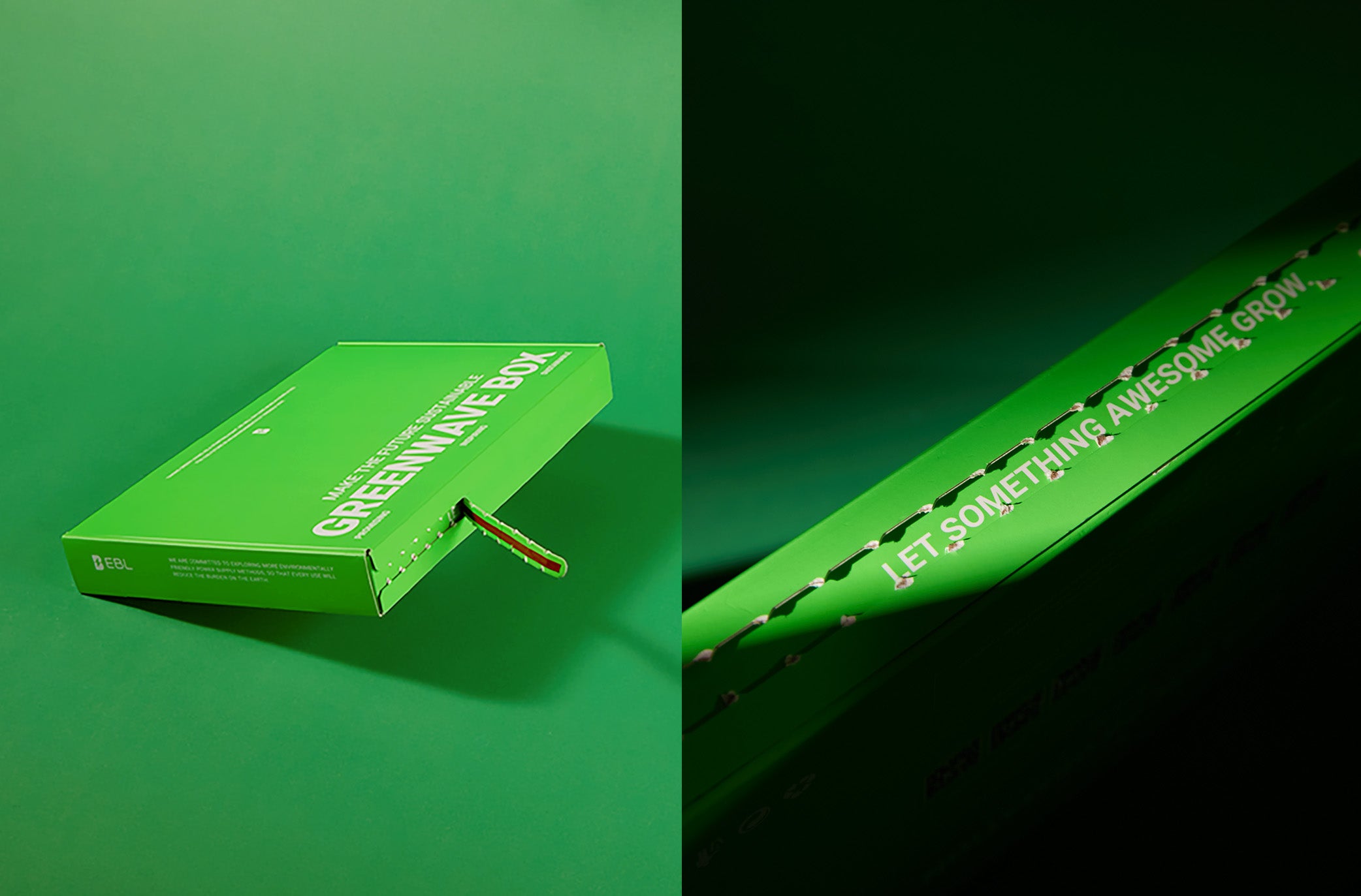 EBL Greenwave Box