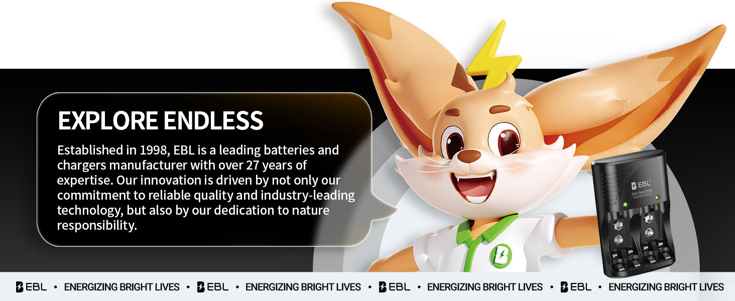 EBL 802 Smart Battery Charger for 9V AA AAA Ni-MH Ni-CD Rechargeable Batteries