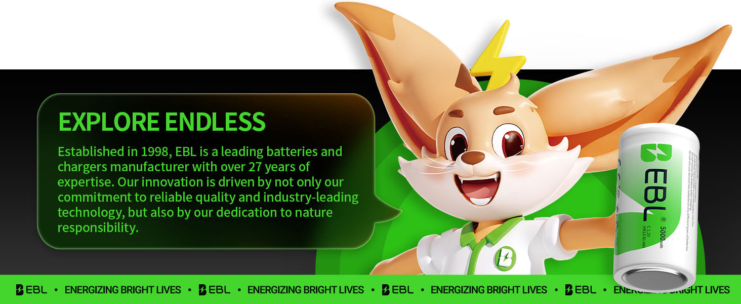 EBL Ni-MH C Rechargeable Battery 1.2V 5000mAh