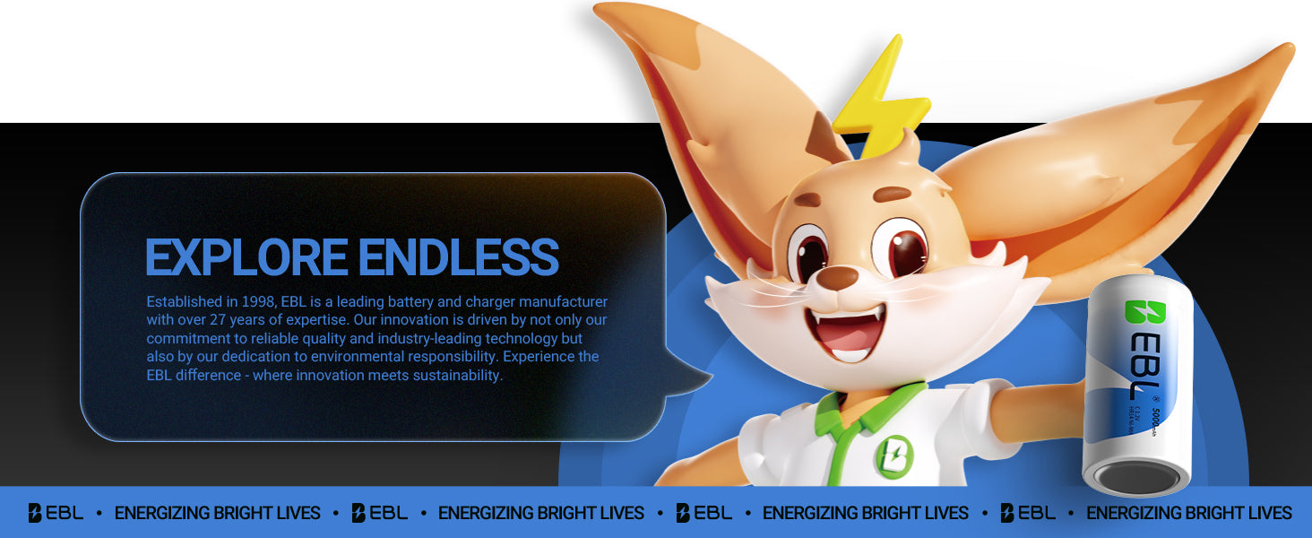 EBL 3700mAh AA Lithium Batteries 1.5V Non-Rechargeable