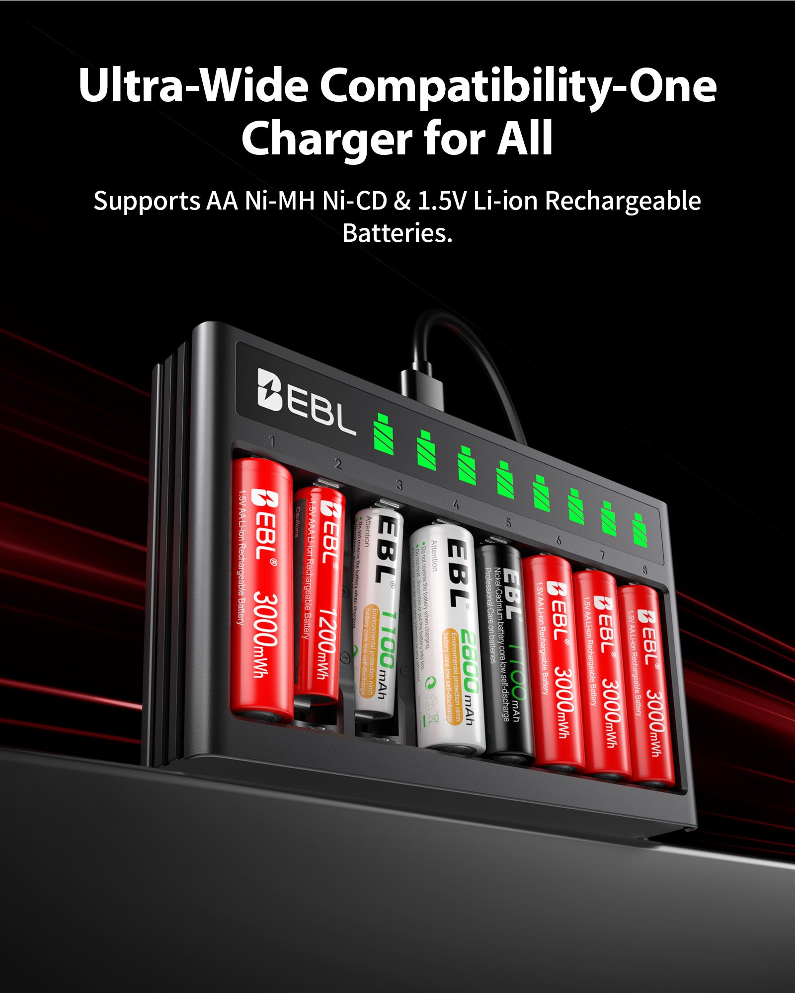 EBL 8-Bay Smart AA AAA Battery Charger with LCD Display, USB-C Charger for 1.2V Nickel and 1.5V Lithium Rechargeable Batteries