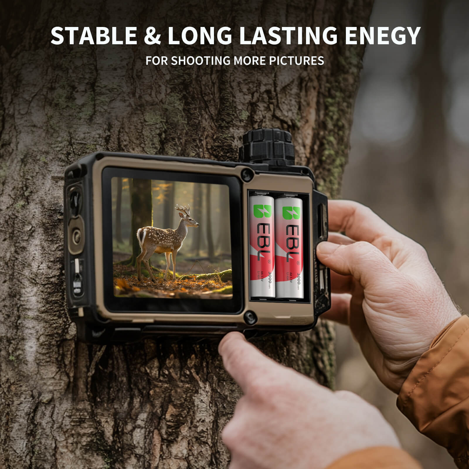 EBL Rechargeable Lithium AA Batteries with Universal Battery Charger
