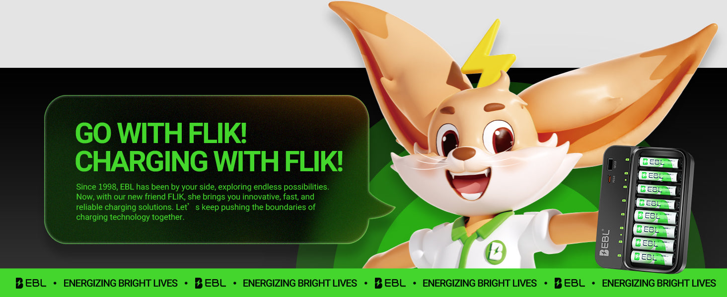 EBL AA AAA 9V Smart Battery Charger with Rechargeable Batteries