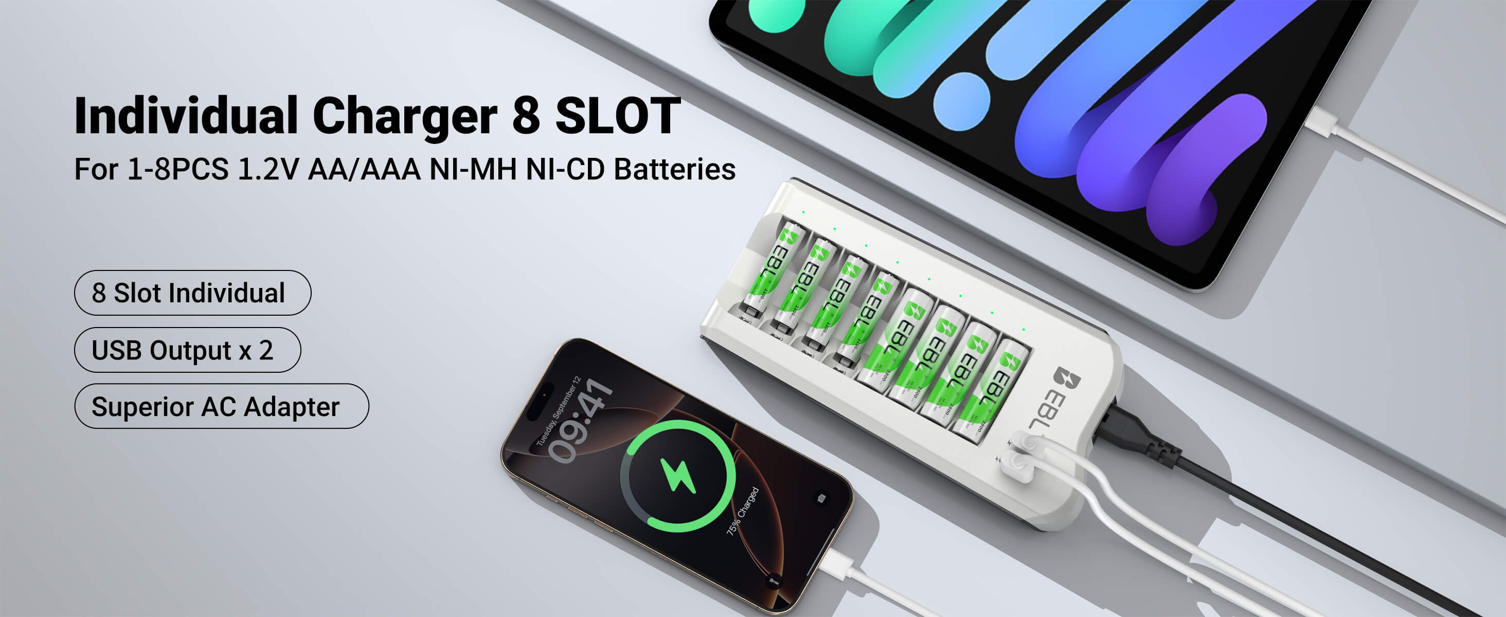 EBL Updated 808U Battery Charger with AA/AAA Ni-MH Rechargeable Batteries