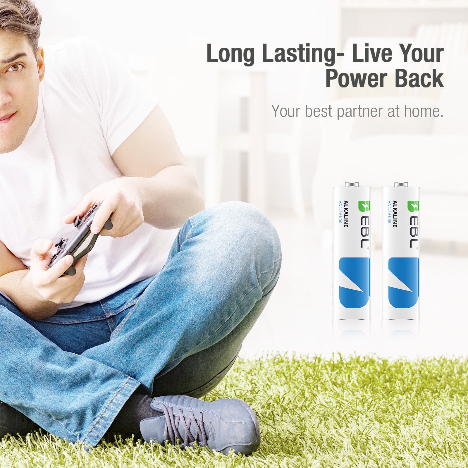 EBL AA Batteries 8 Pack 1.5V Alkaline Double A Batteries, Long-Lasting Alkaline AA Battery