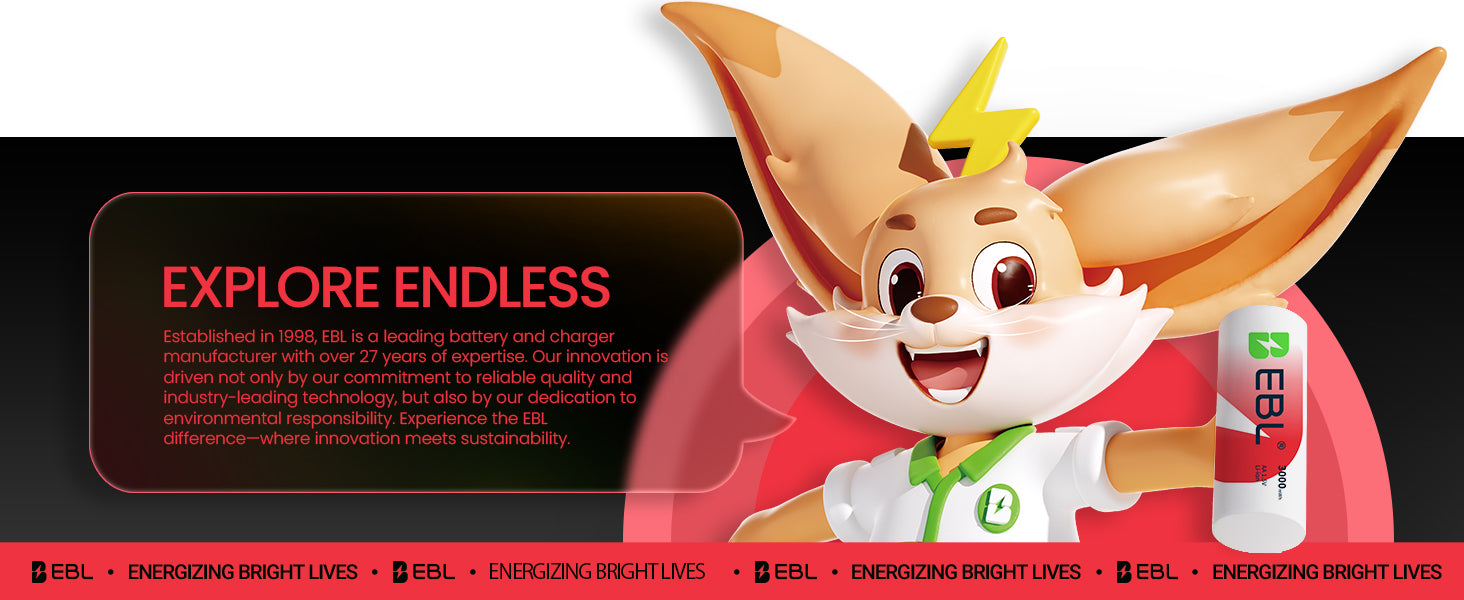 EBL 1.5V Lithium AA Rechargeable Batteries