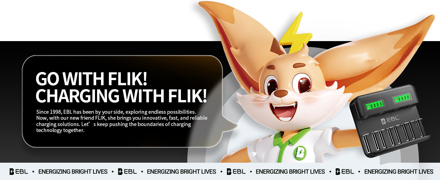 EBL C9008 8 Bay LCD Universal Battery Charger for AA AAA C D Ni-MH Batteries