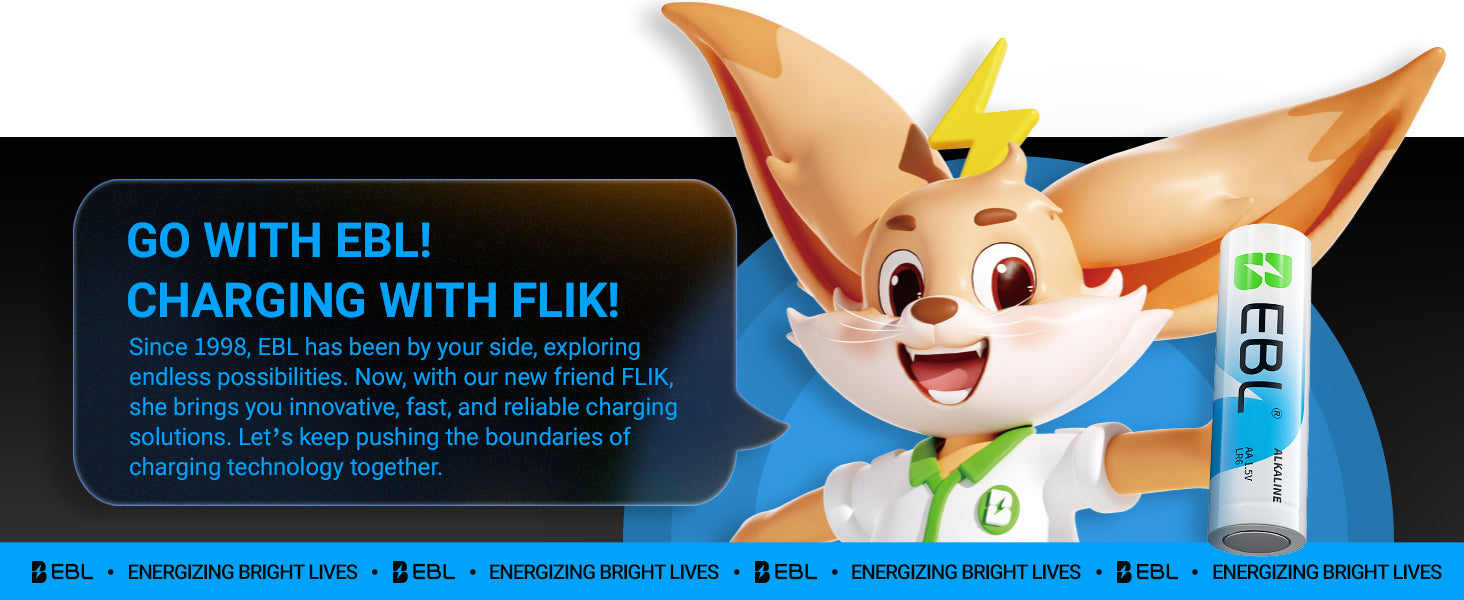 EBL 48 Pack AA & AAA 1.5V Alkaline Batteries Long-Lasting