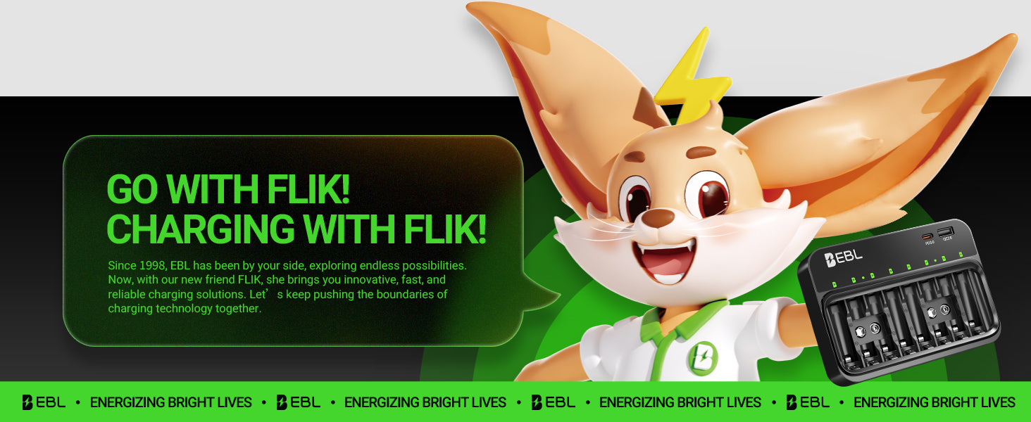 EBL PD 20W AA AAA 9V Battery Charger