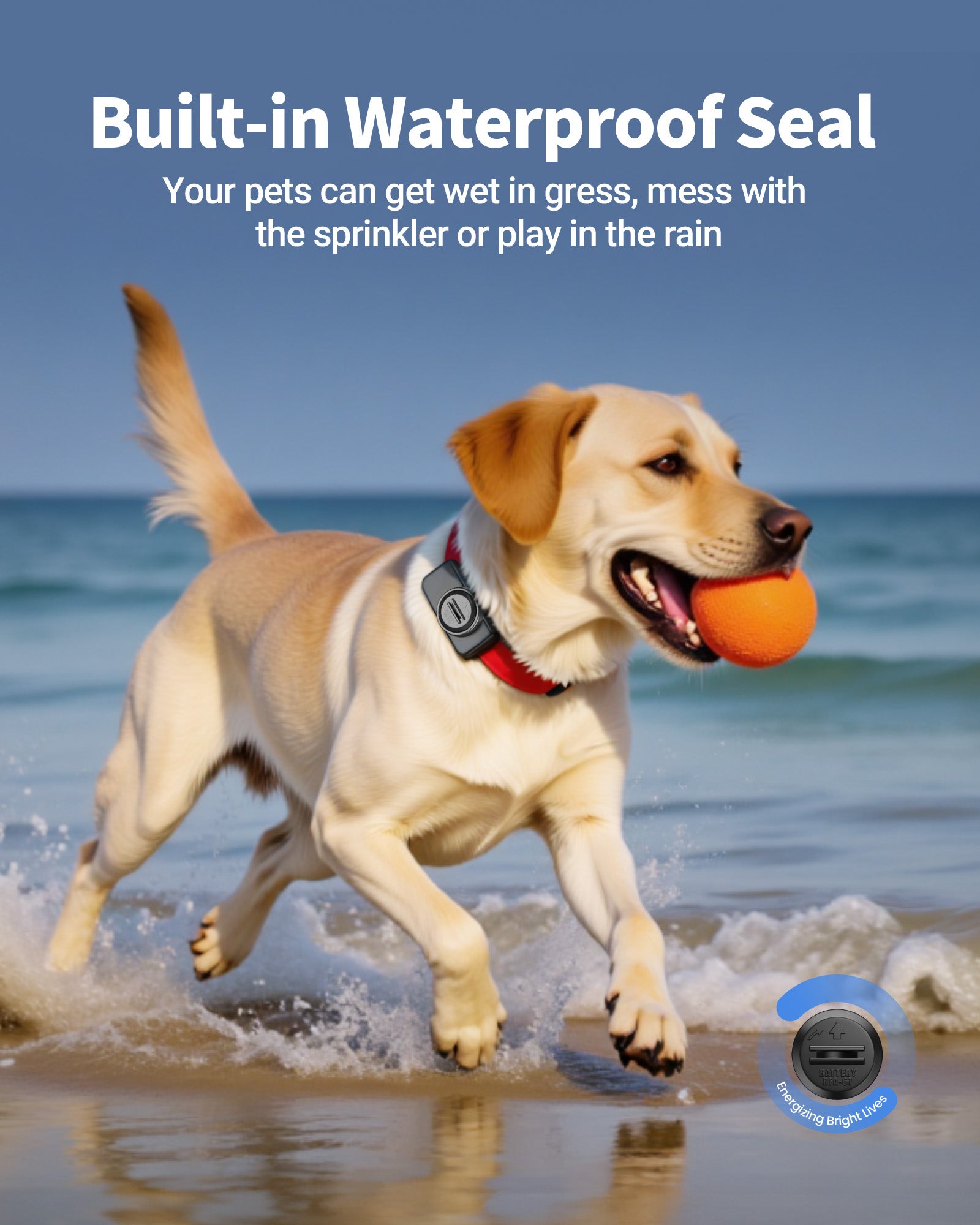 EBL RFA-67 6 Volt Pet Collar Replacement Batteries