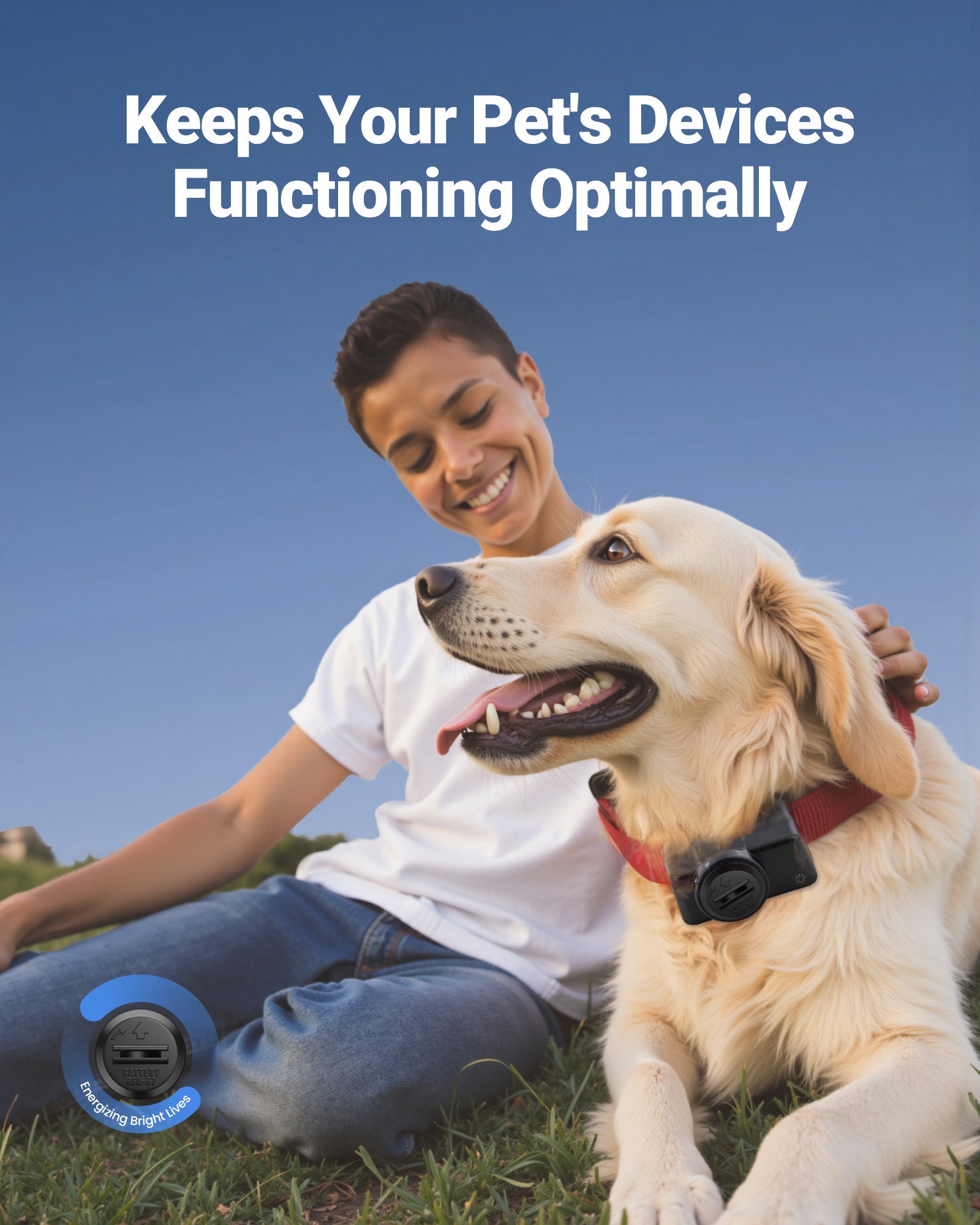 EBL RFA-67 6 Volt Pet Collar Replacement Batteries