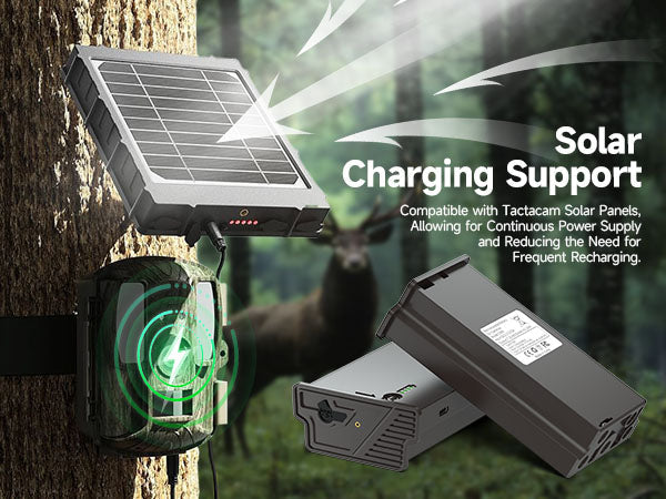 Camera Batteries