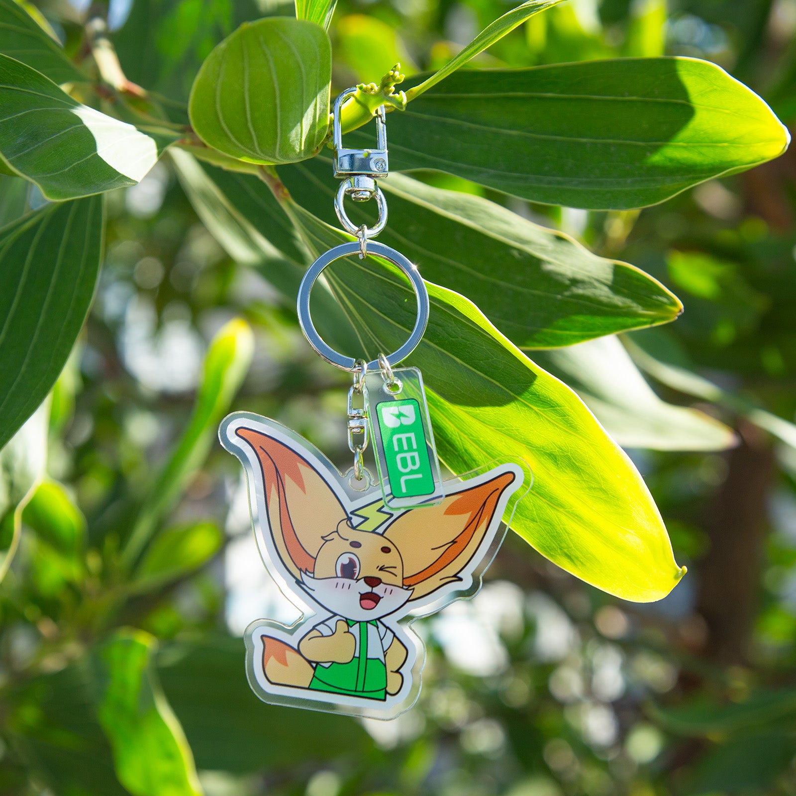 EBL Creative Merchandise Collection