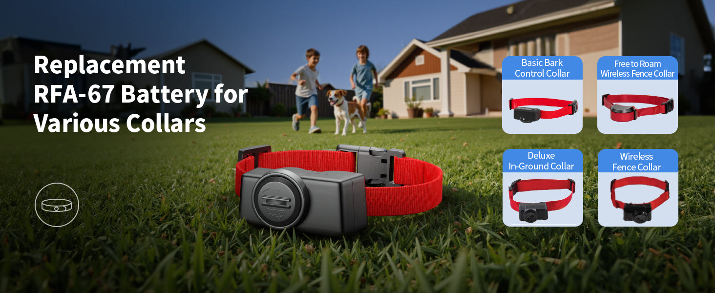 EBL RFA-67 6 Volt Pet Collar Replacement Batteries