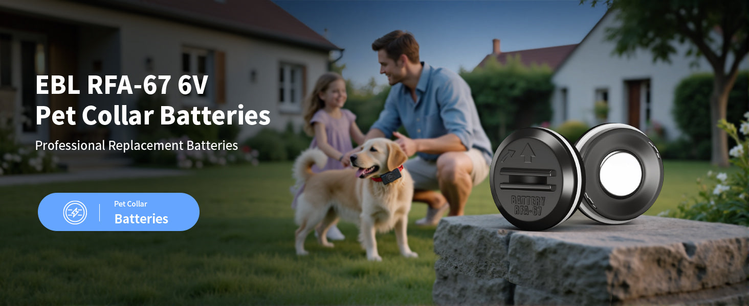 EBL RFA-67 6 Volt Pet Collar Replacement Batteries