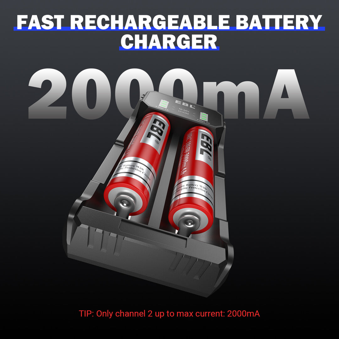 EBL Smart Rapid Battery Charger