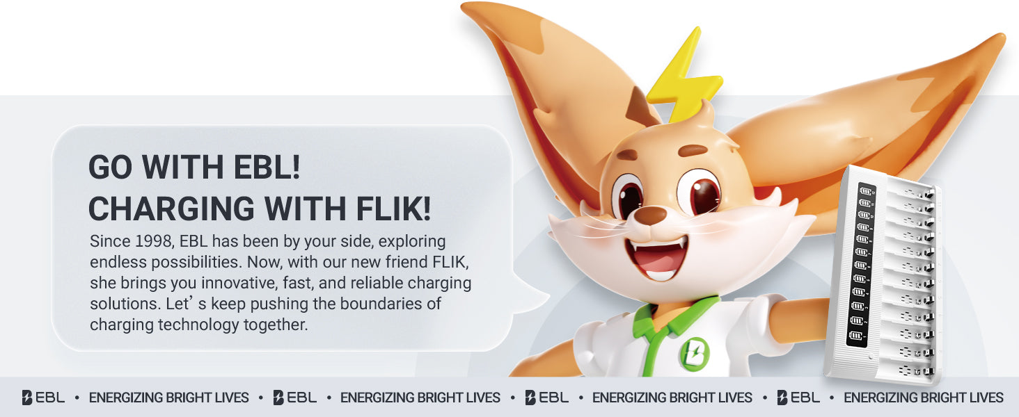 EBL 12-Bay Independent LCD AA AAA Battery Charger