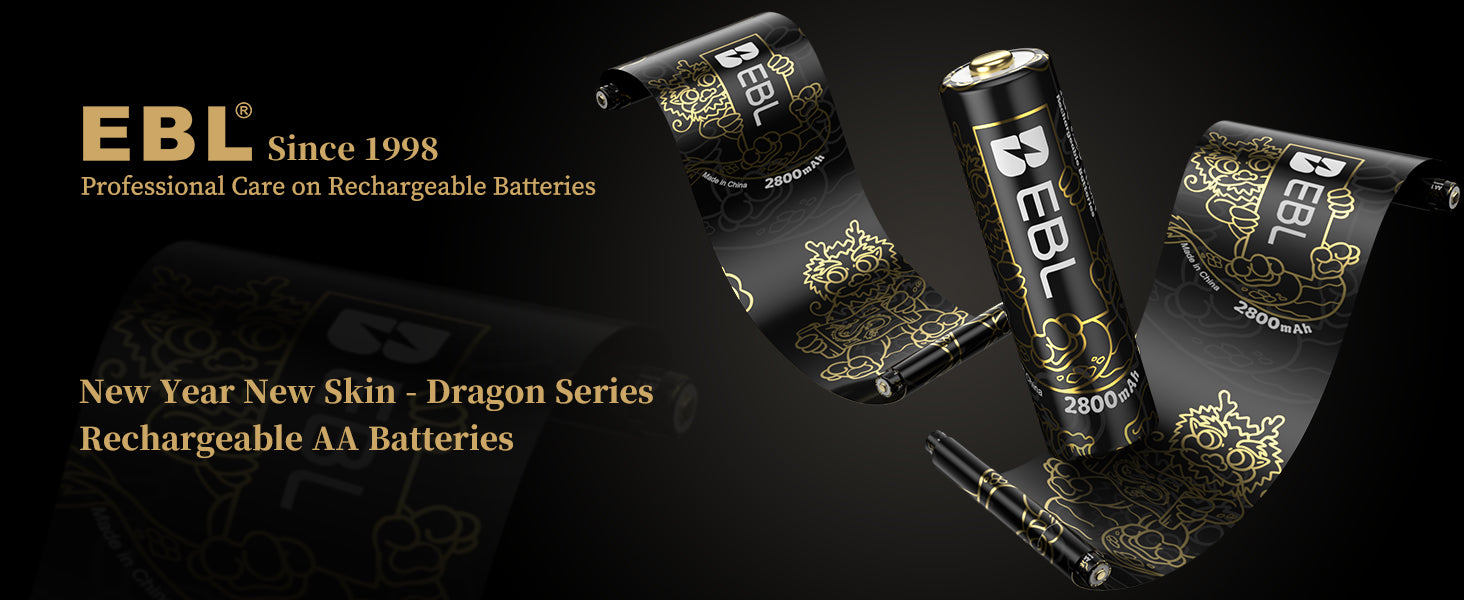 Dragon series rechargeable AA Batteries