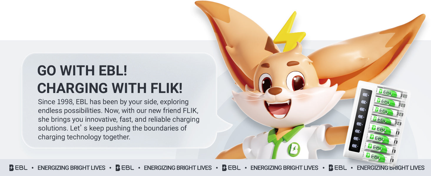 EBL AA AAA Batteries with FY-809 8-Bay LCD Battery Charger