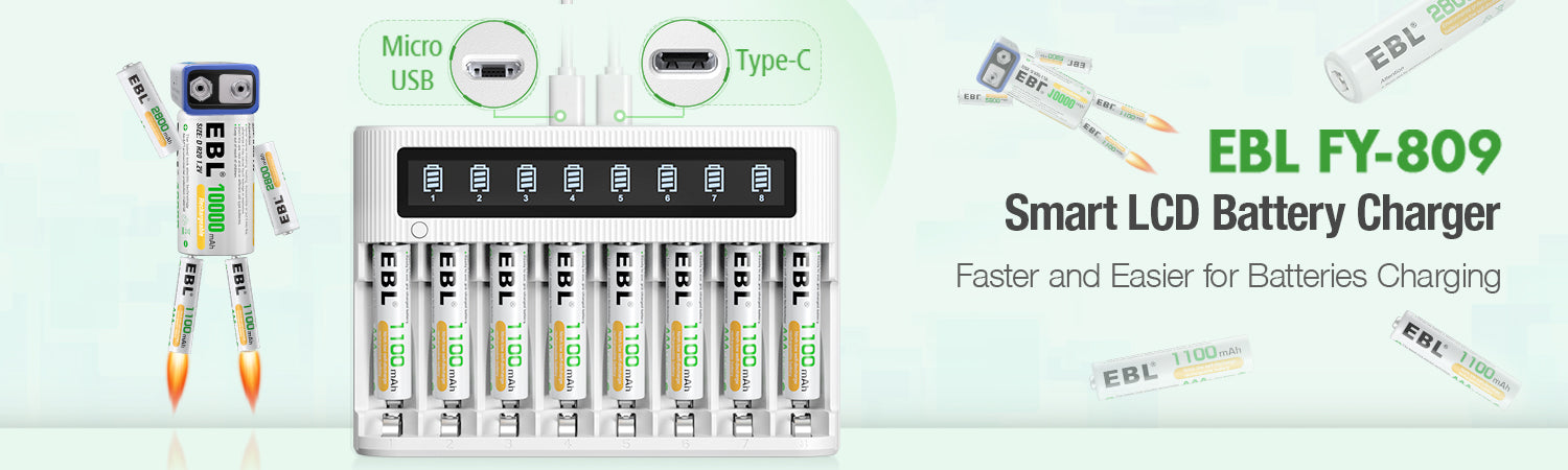 EBL AA AAA Batteries with FY-809 8-Bay LCD Battery Charger