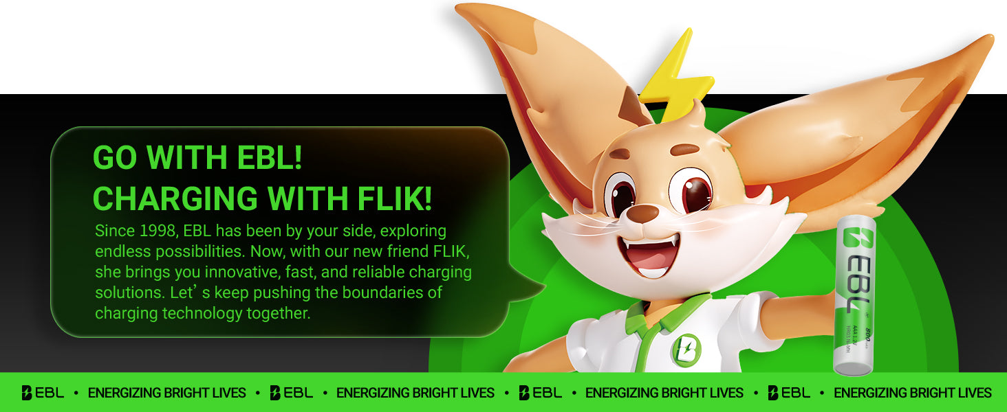 EBL AAA Ni-MH Rechargeable Batteries 1.2V 800mAh