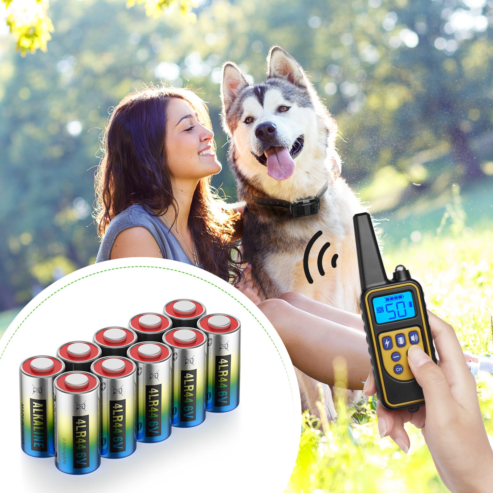 EBL 4LR44 6V Alkaline Batteries for Dog Collars