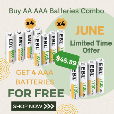 EBL AA AAA Rechargeable Batteries Combo