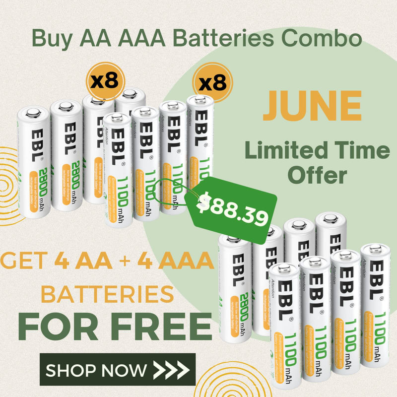 EBL AA AAA Rechargeable Batteries Combo