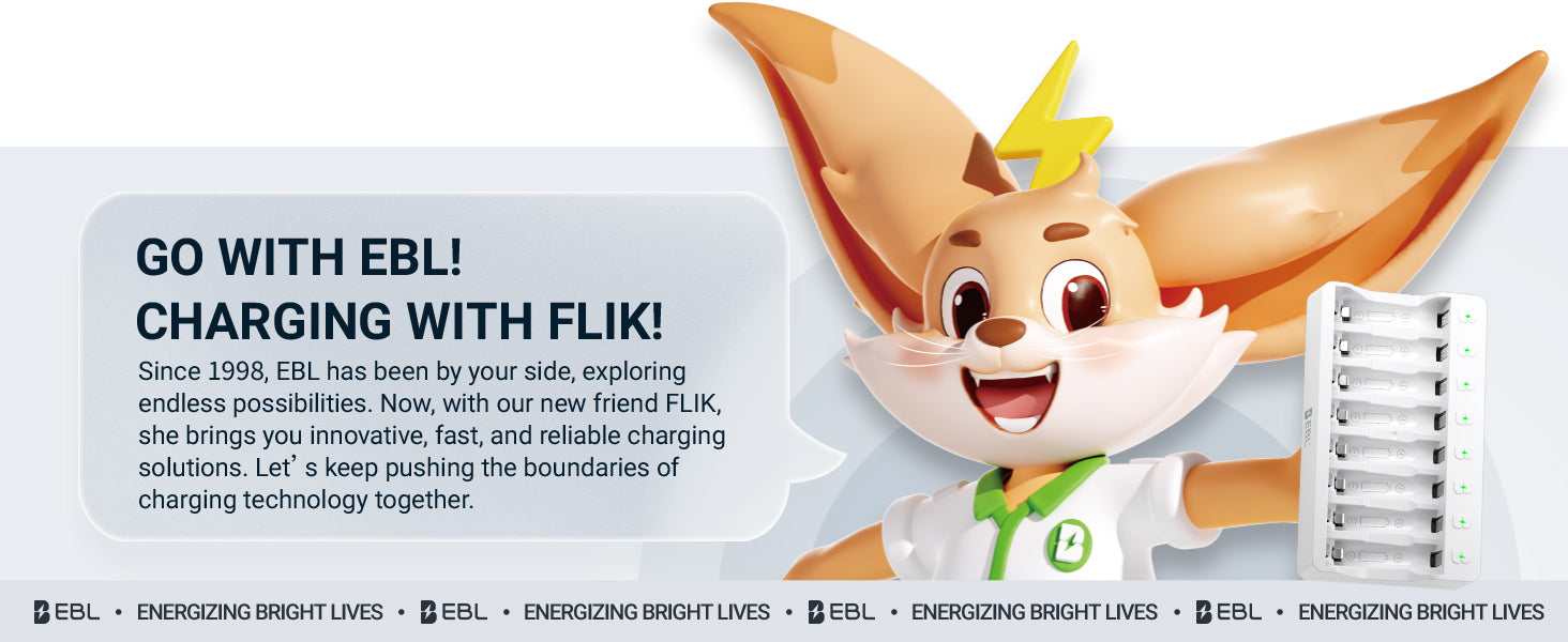 EBL 8 Bay AA AAA Battery Charger for NiMH NiCD Rechargeable Batteries