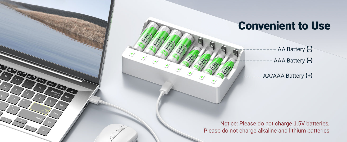 EBL battery charger with AA and AAA batteries 
