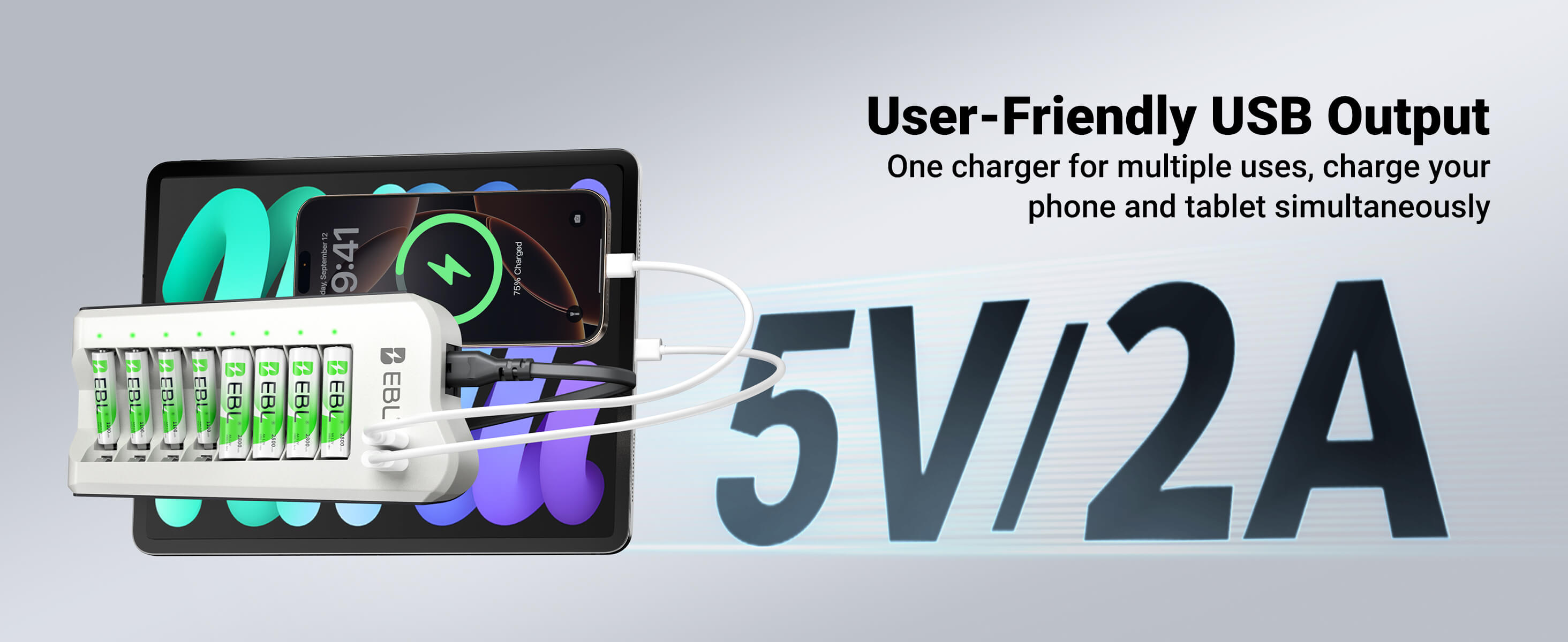 EBL Updated 808U Battery Charger with AA/AAA Ni-MH Rechargeable Batteries