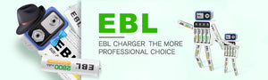 EBL FY-408 4-Bay AA AAA Ni-MH Ni-CD Battery Charger