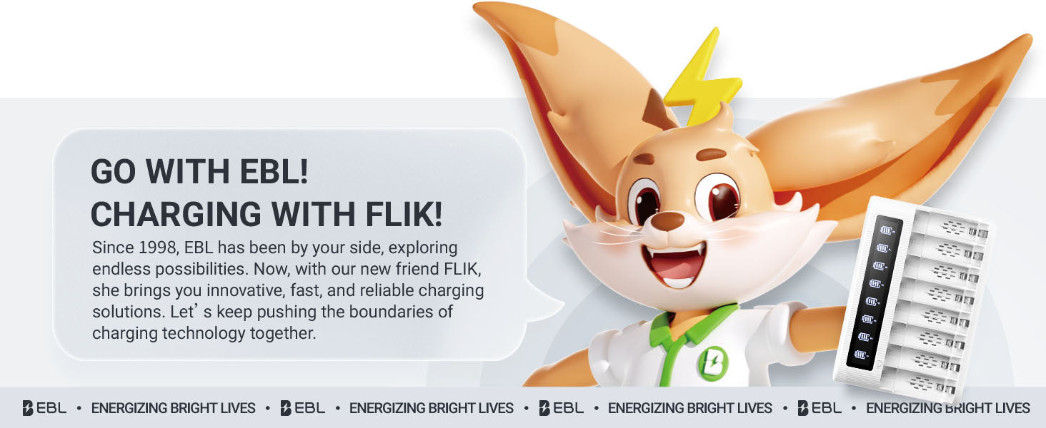 EBL FY-809 LCD Battery Charger for AA AAA Ni-MH Ni-CD Rechargeable Batteries