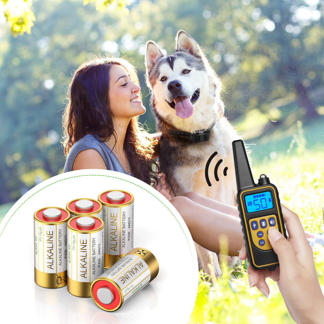 EBL 4LR44 battery for Dog Collars - EBLOfficial